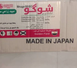 شوگو ژاپن
